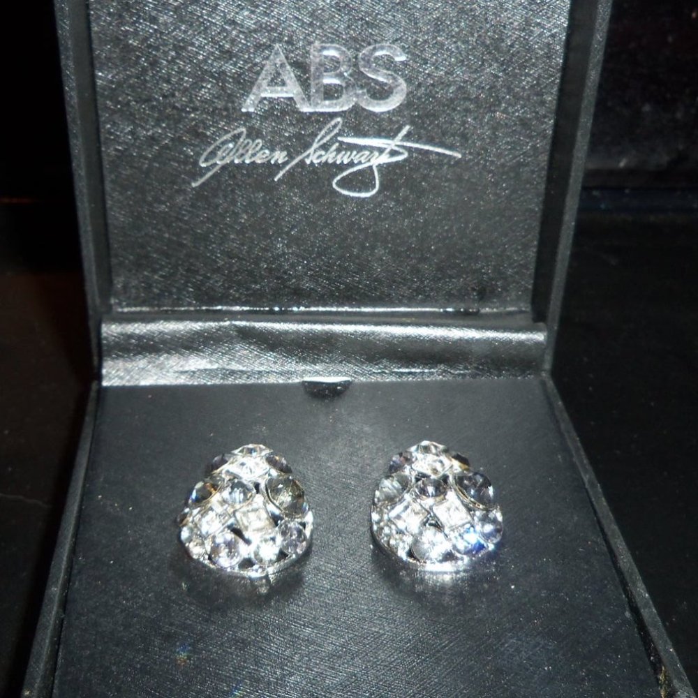 NIB:  Allen Schwartz Fashion Earrings